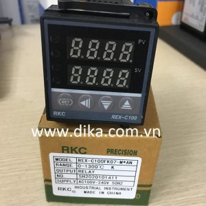 C100 Relay (2) R1