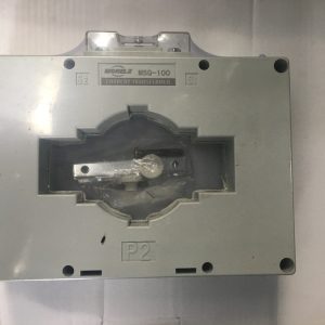 Msq 100 (2)