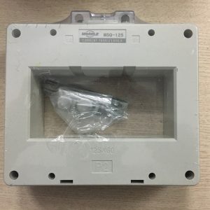 Msq 125 (1)